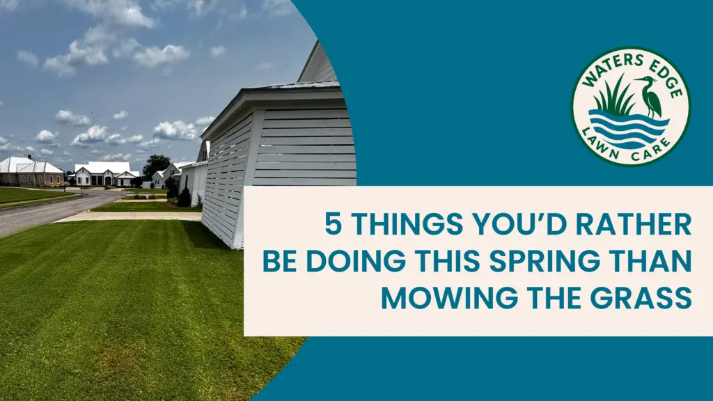 5 Things Youd Rather Be Doing This Spring Than Mowing the Grass 11