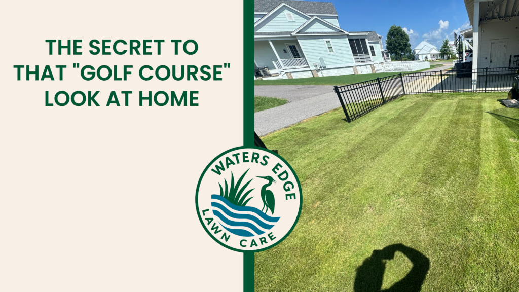 The Secret to That Golf Course Look at Home 14