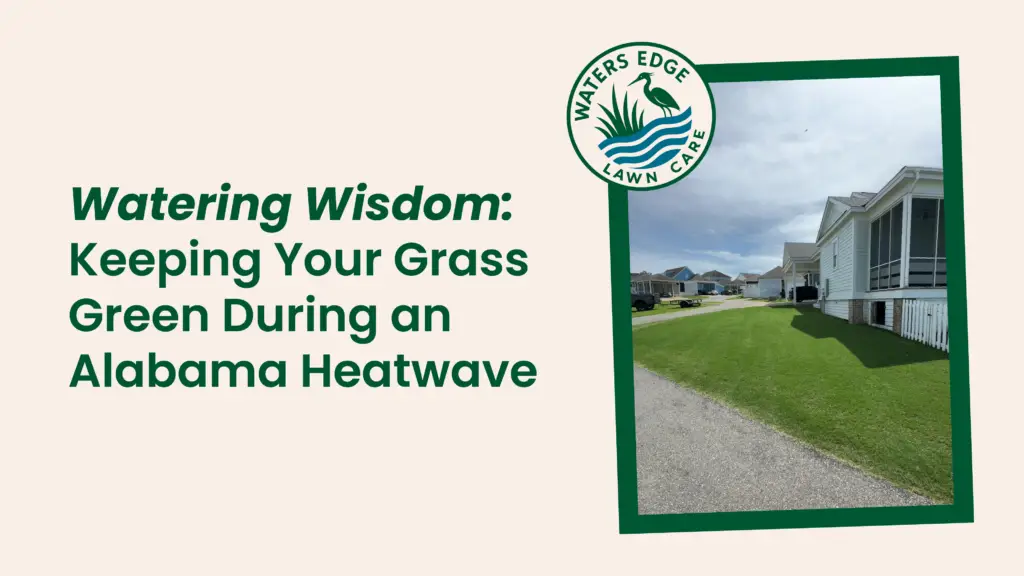 Watering Wisdom Keeping Your Grass Green During an Alabama Heatwave 20