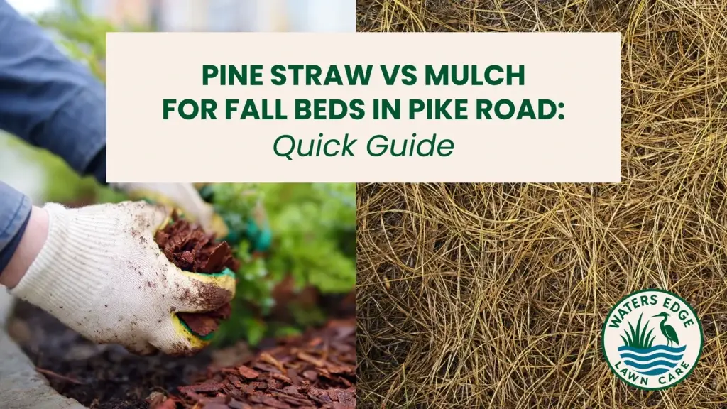 Pine straw vs mulch for fall beds in Pike Road: Quick Guide