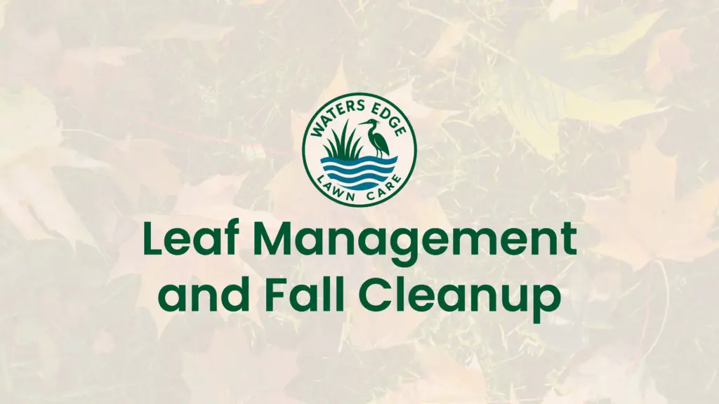 Leaf Management and Fall Cleanup